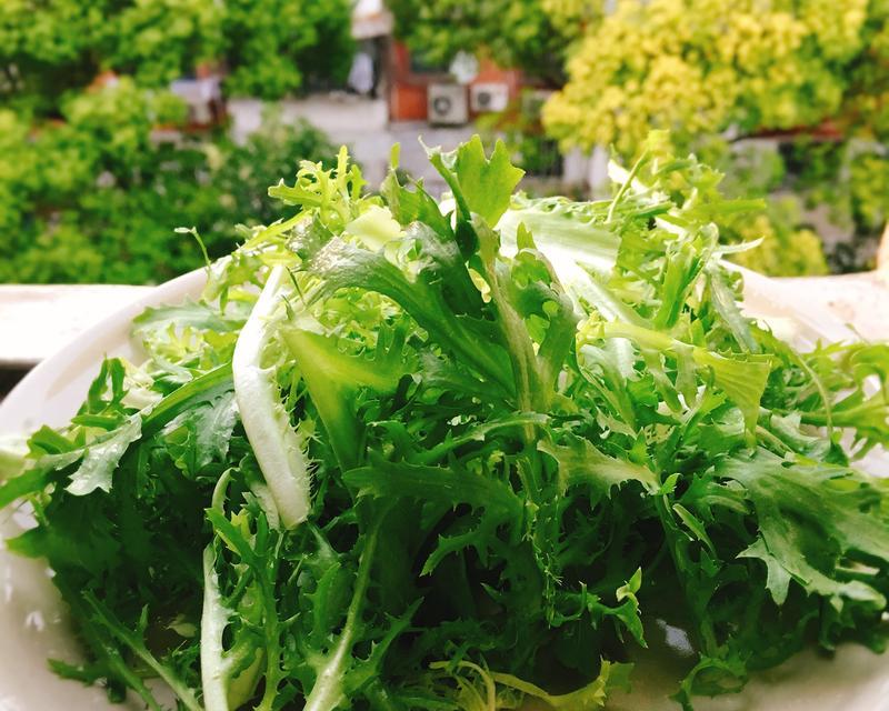 健康美味，彩椒拌苦菊（用时新时蔬打造美食盛宴）