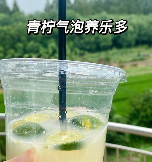 自制青柠气泡饮，清爽夏日必备（15个步骤）  第2张